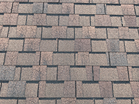 Failing atlas roof shingles, Inspected by Showalter Property Consultants in Maryland