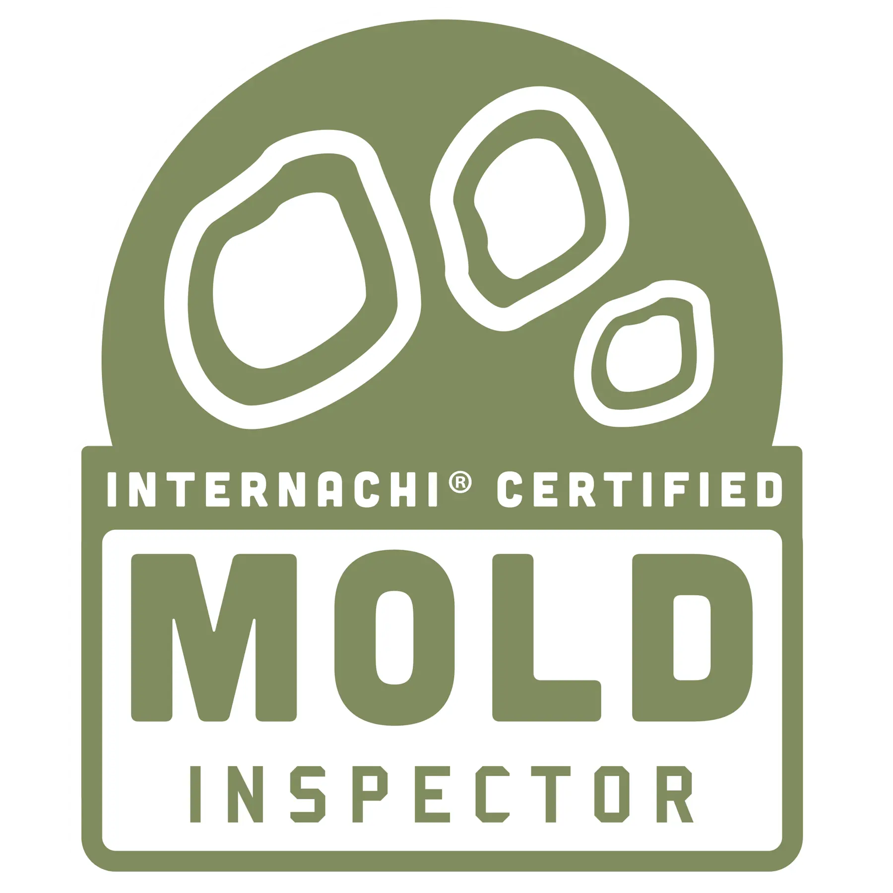 MoldInspector logo high res 01